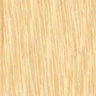 Zhejiang Jiahong Decoration Material Co., Ltd.